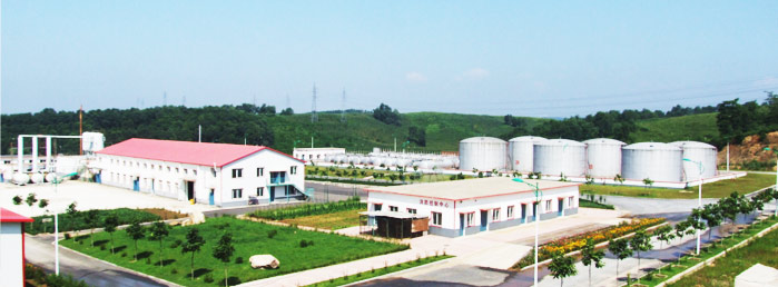 Fushun Kelong Chemical Industrial Co., Ltd.